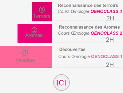 Cours oenologie standard