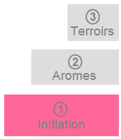 Oenoclass 1 - initiation oenologie