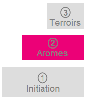 Oenoclass 2 - initiation oenologie