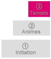 Oenoclass 3 - Terroirs