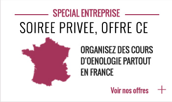 Oenologie Entreprise